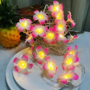 KathGulap Fairy Light