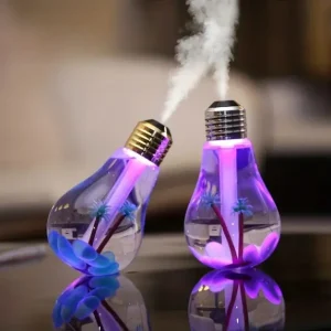 Bulb Humidifier