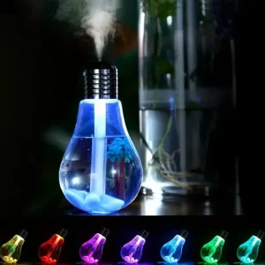 Bulb Humidifier